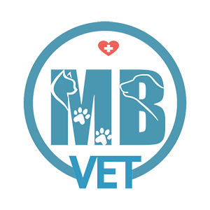 MB Vet Huế