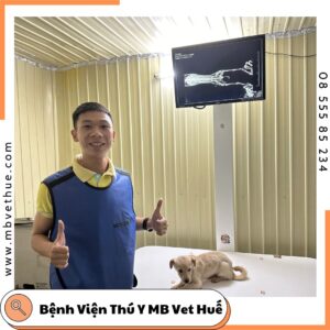 bệnh viện thú y MB VET chụp x quang kỹ thuật số