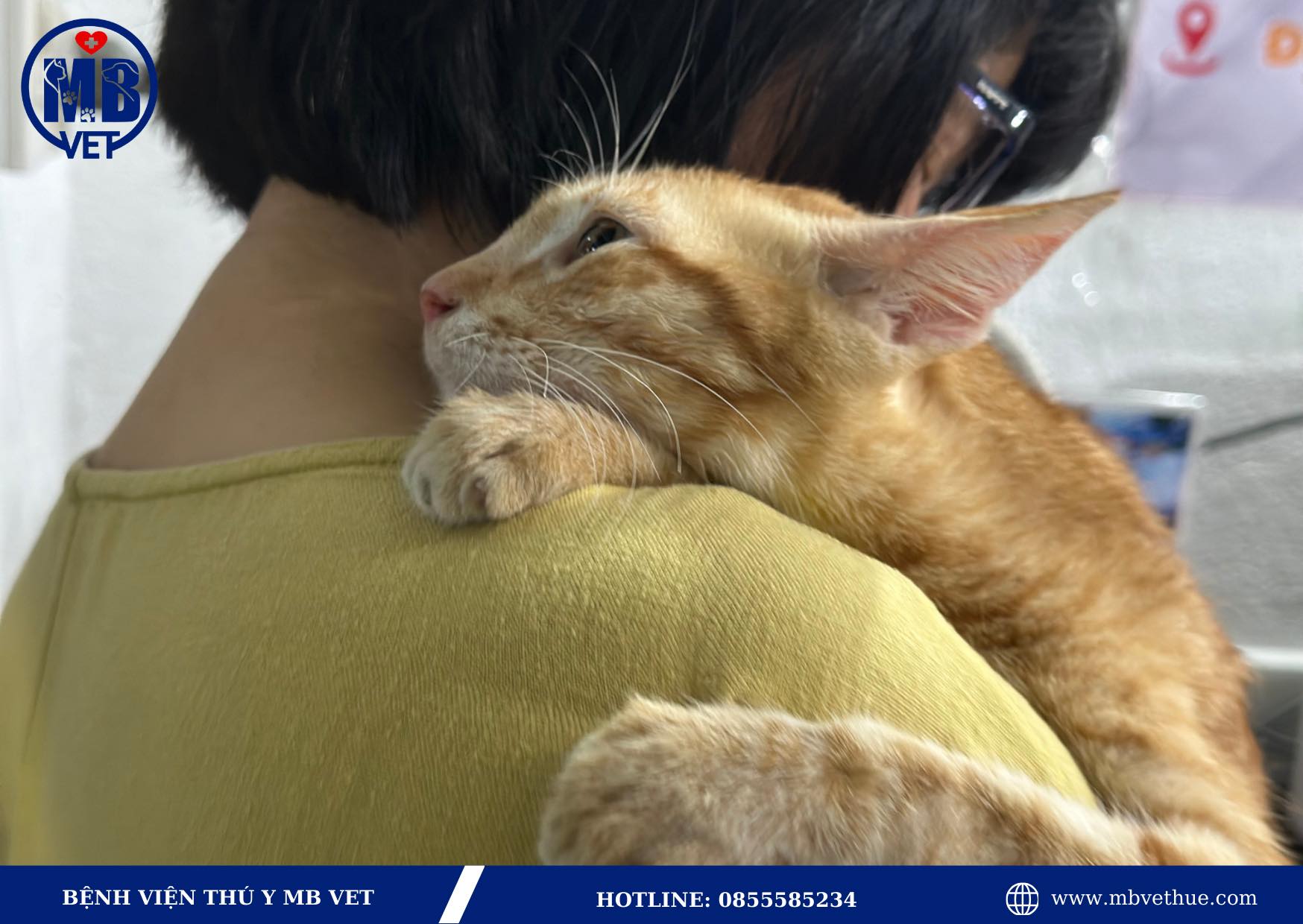 Bệnh viện thú y MBVet Huế