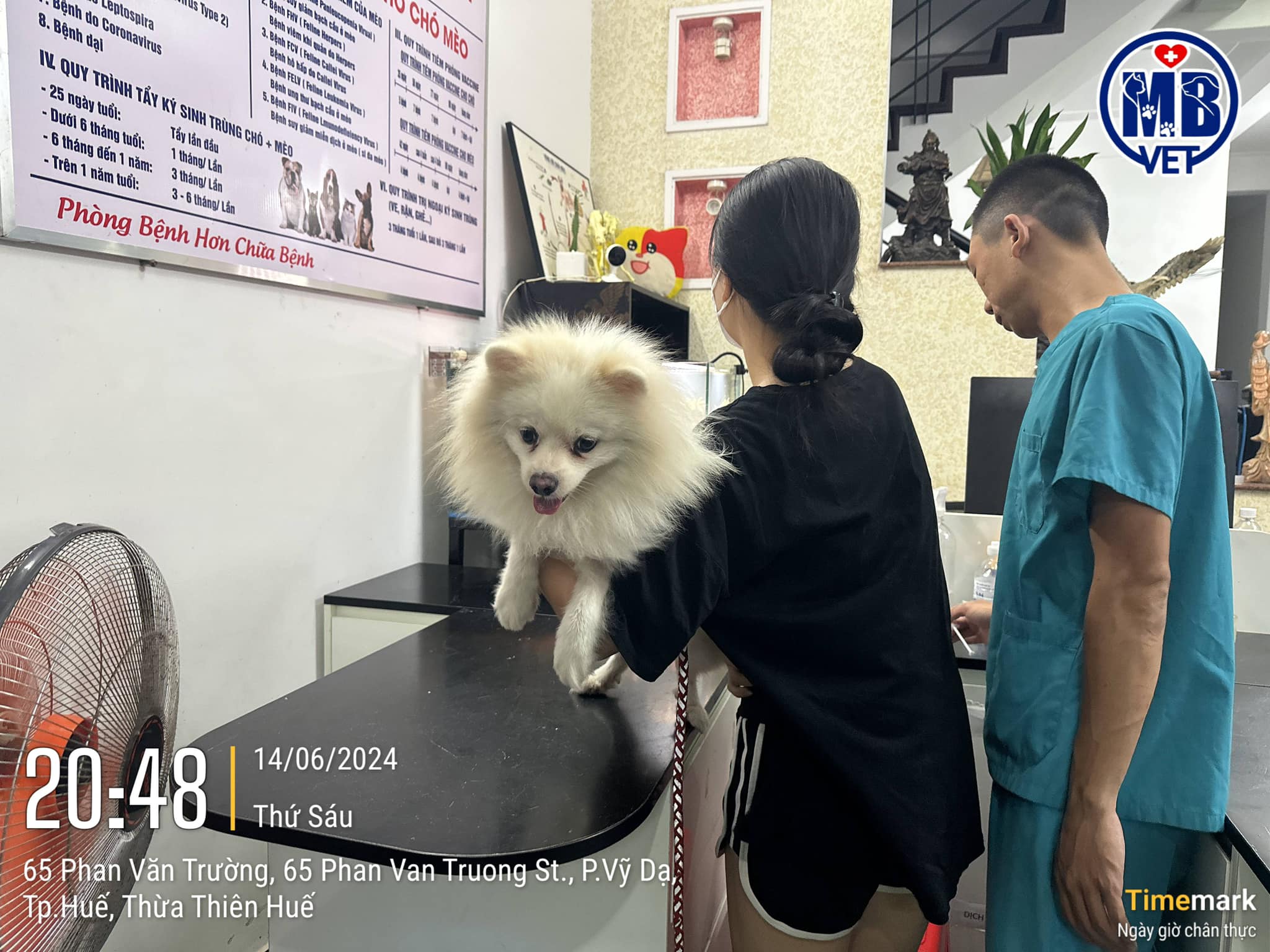 Bệnh viện thú y MBVet Huế