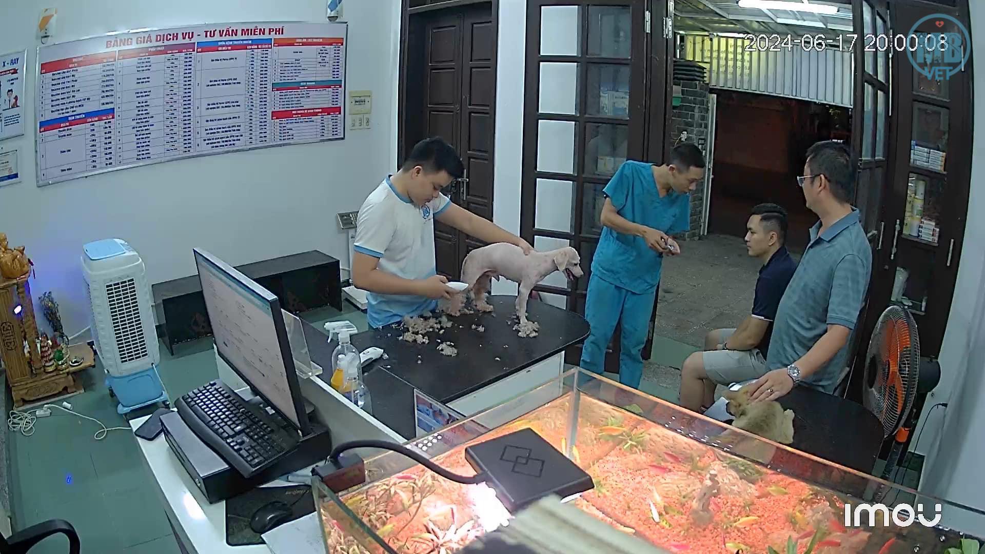 Bệnh viện thú y gần đây