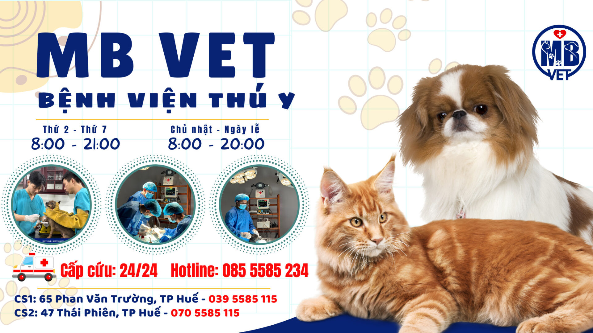 Bệnh viện thú y tại Huế