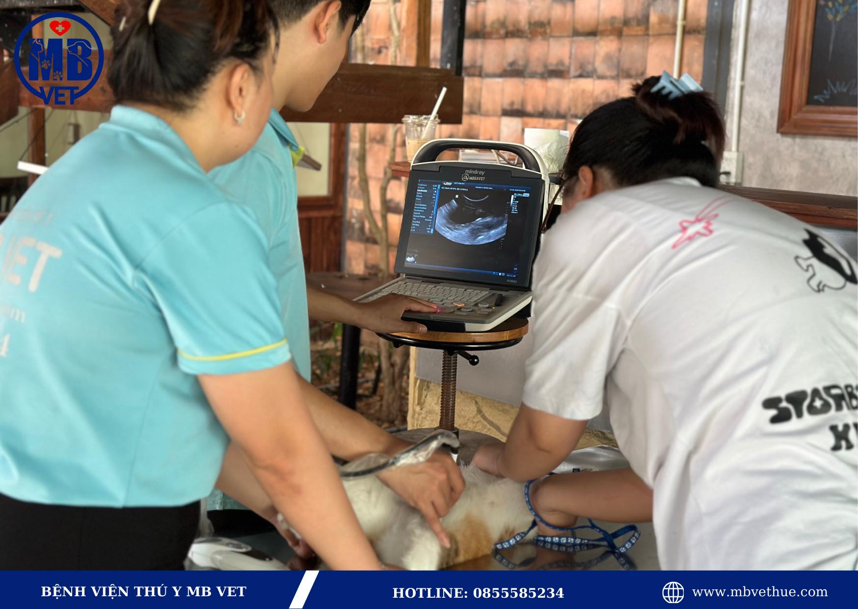 Bác sĩ thú y ở Huế