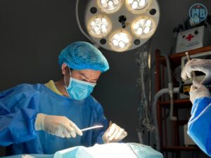 Bệnh viện thú y huế MBVet