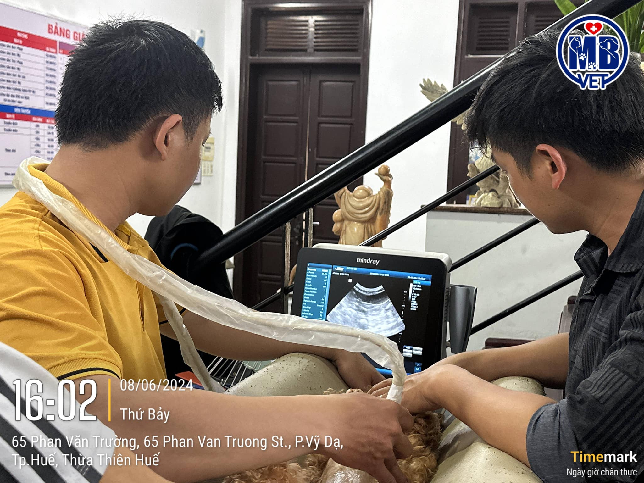Bệnh viện thú y huế MBVet