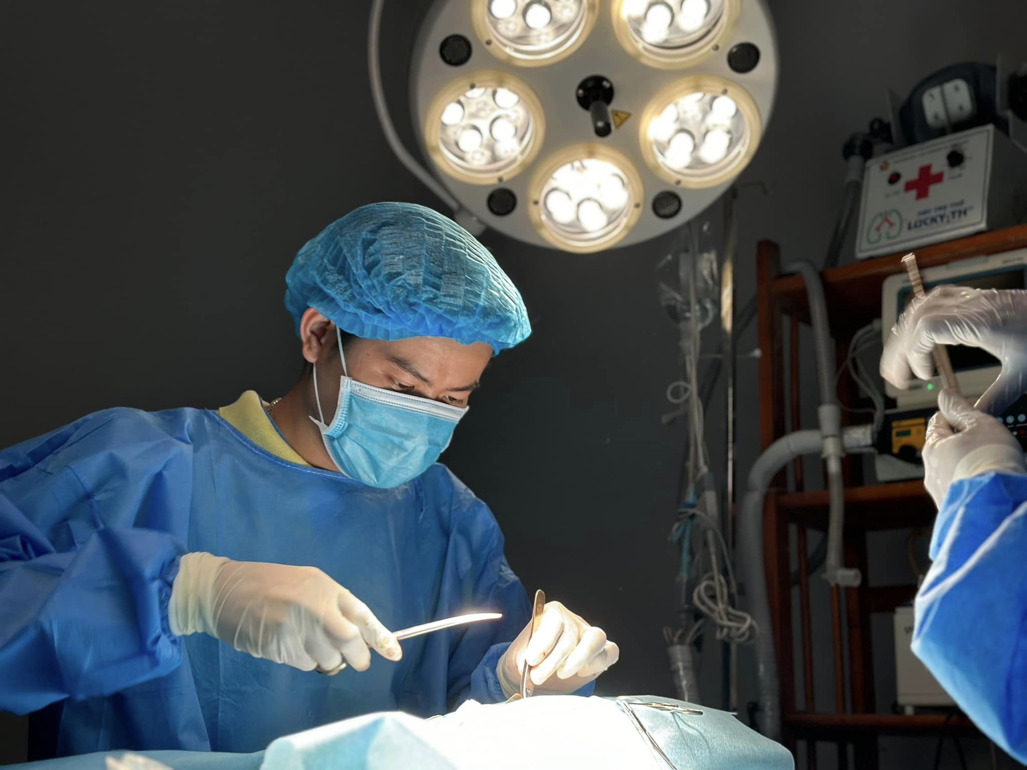 Dịch vụ thú y quanh đây