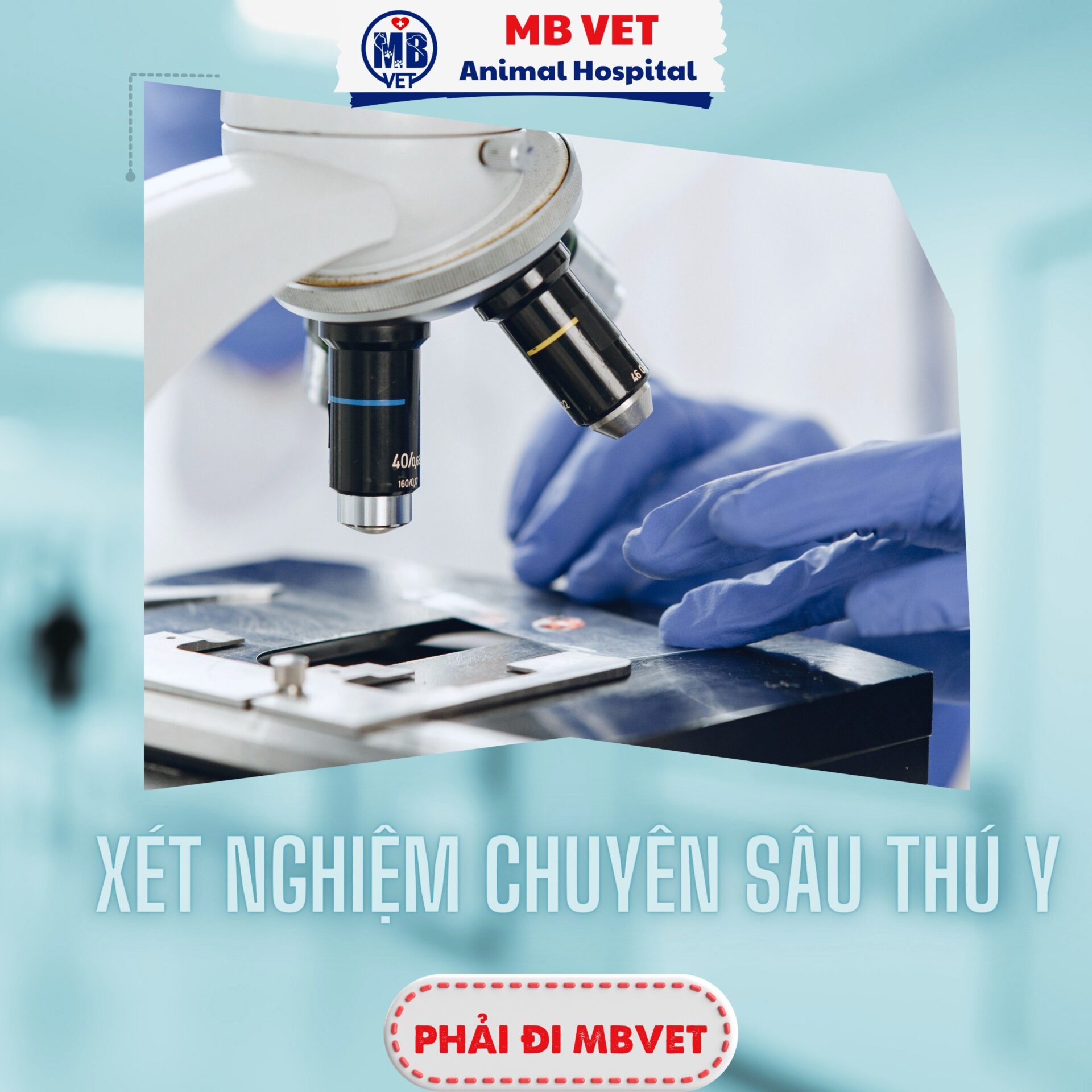 Dịch vụ thú y tại Huế