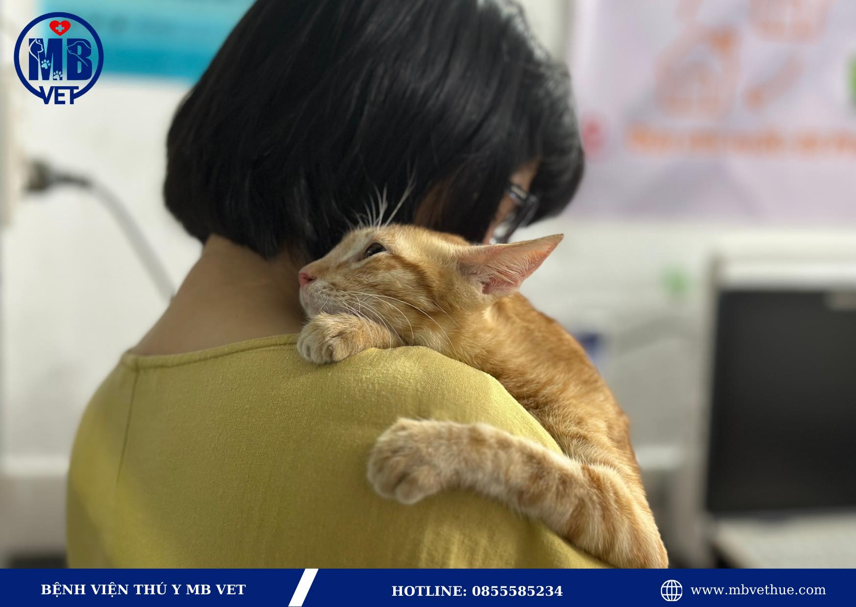 Khám và chữa bệnh chó mèo