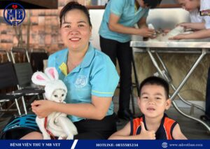 Khám và chữa bệnh chó mèo