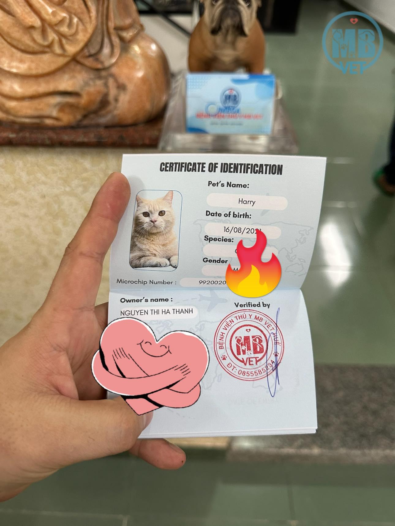 Nhu cầu thú y ở Huế