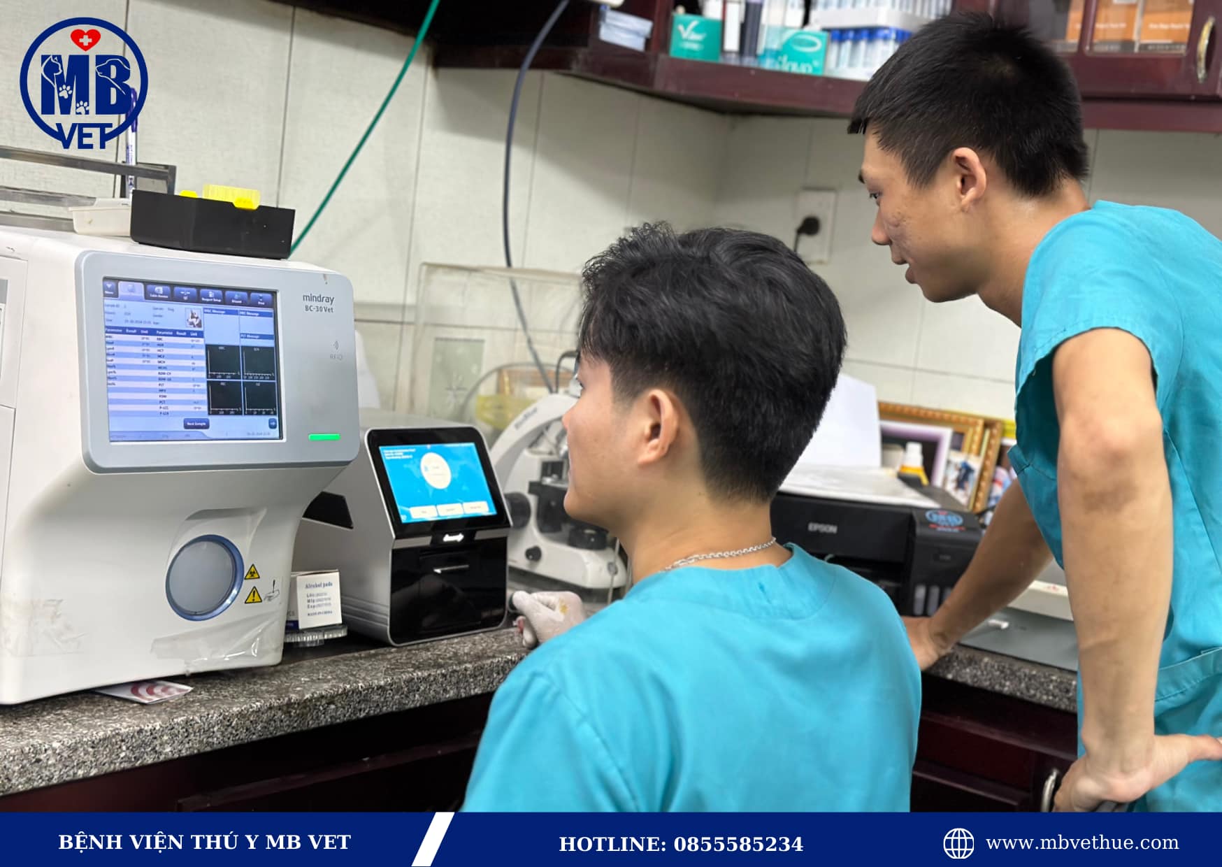 Nhu cầu thú y ở Huế