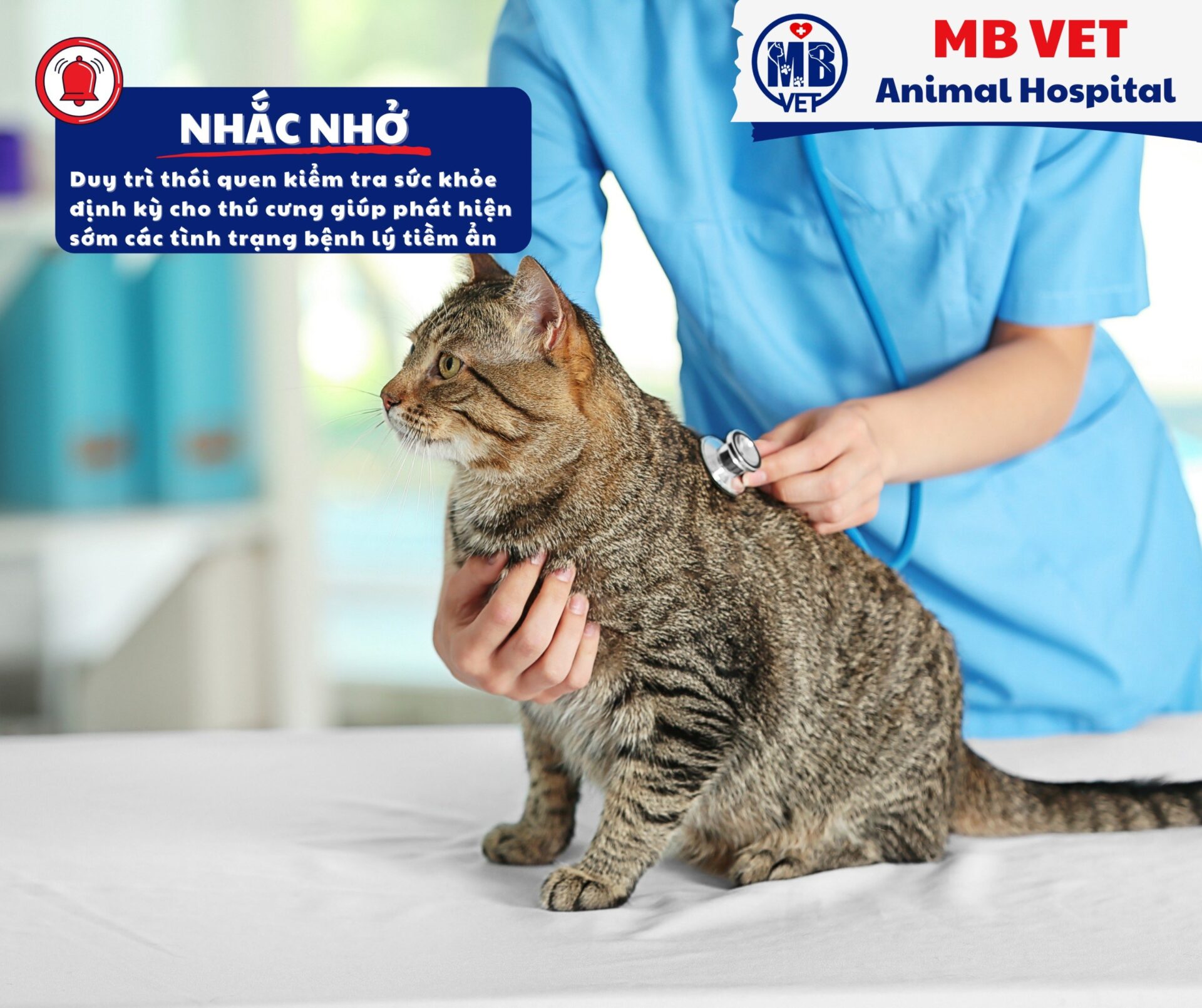 Nhu cầu thú y ở Huế