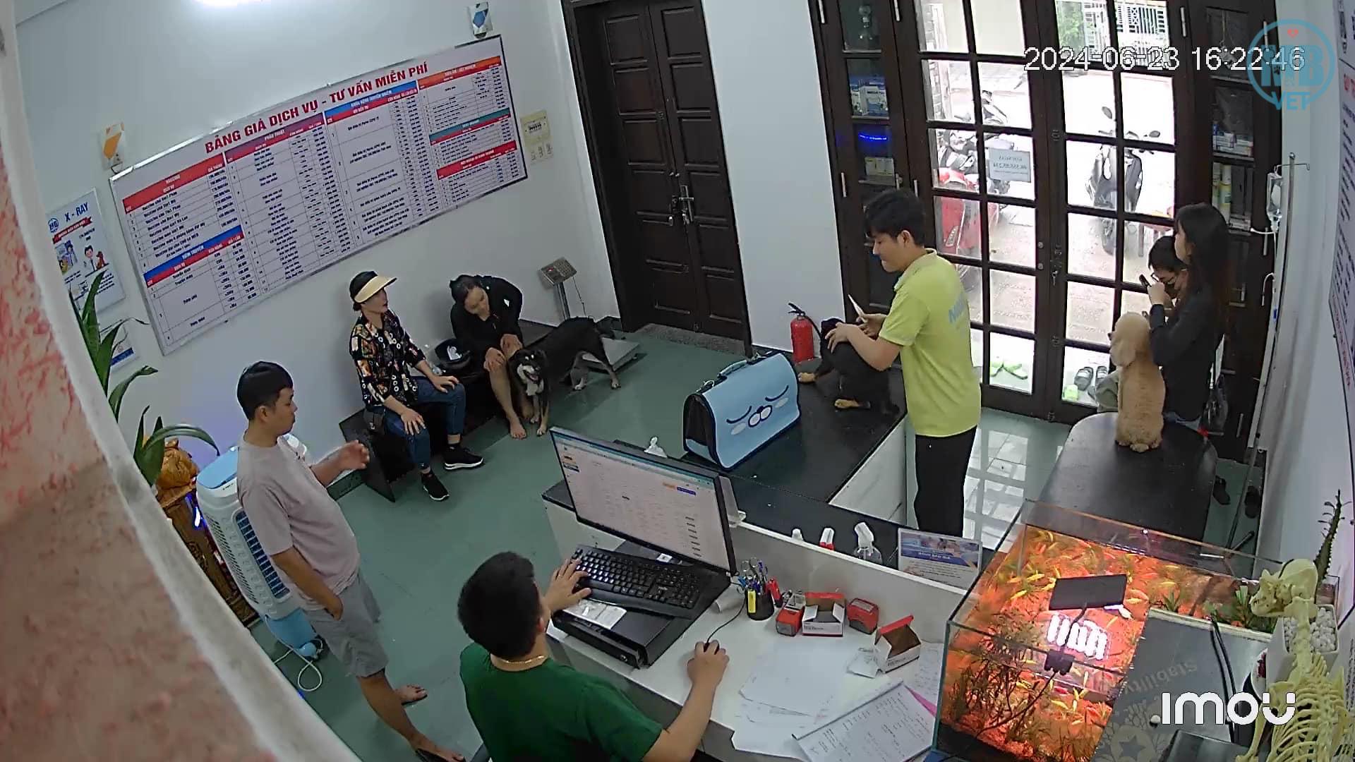 bác sĩ thú y 2424