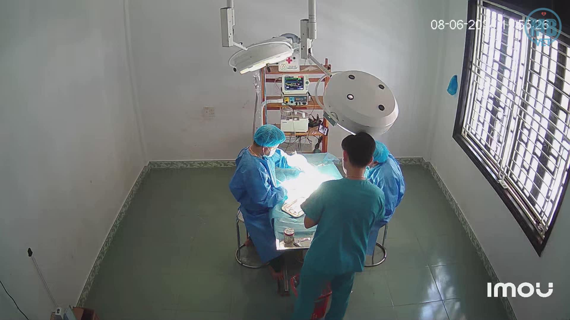 bác sĩ thú y 2424