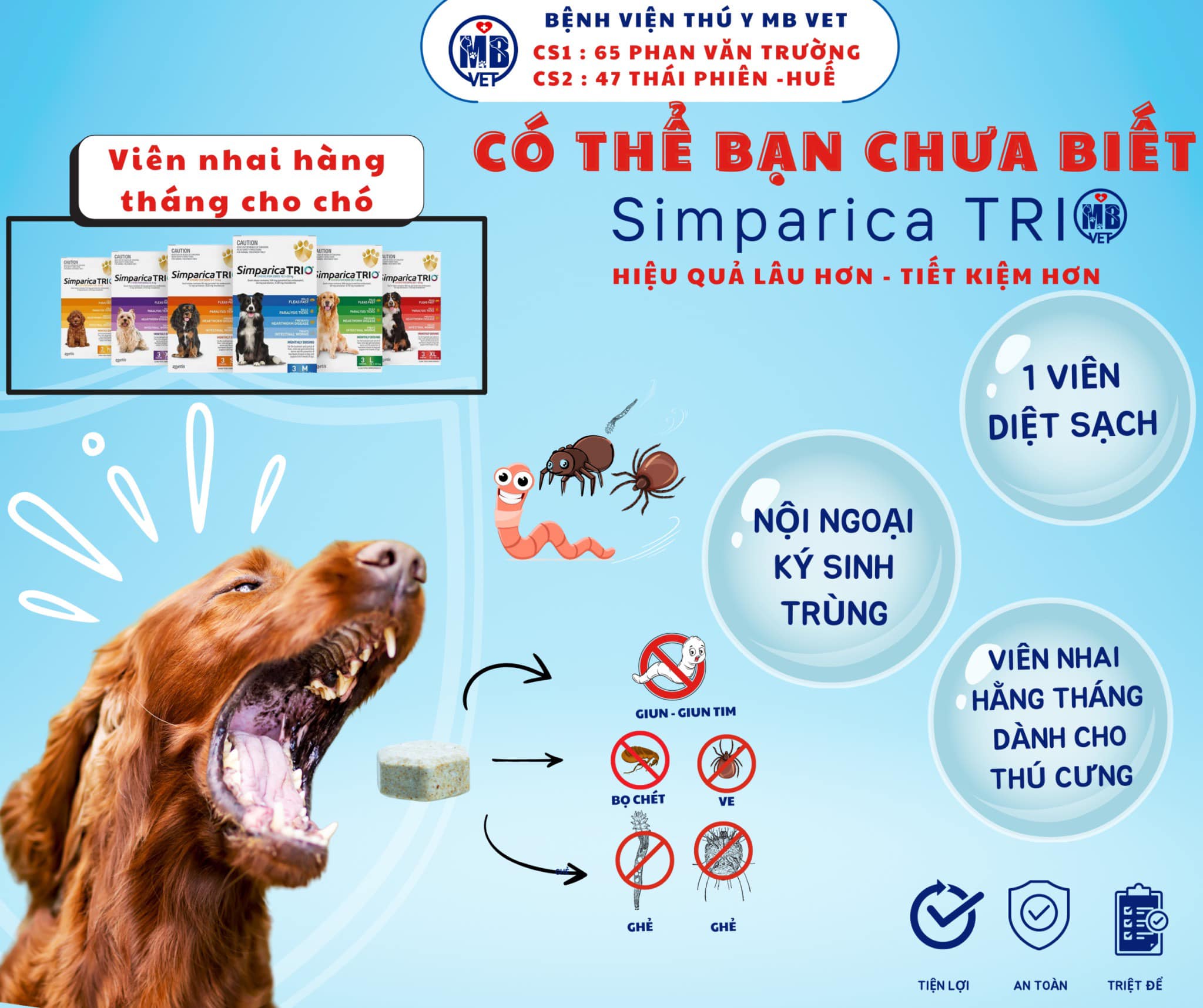 bác sĩ thú y tư vấn