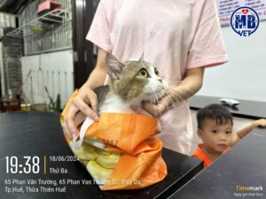 phòng khám thú y ở Huế