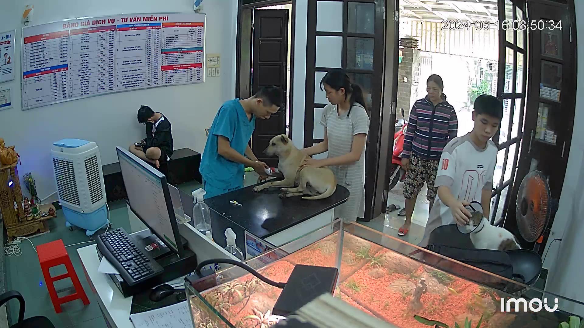 phòng khám thú y ở Huế