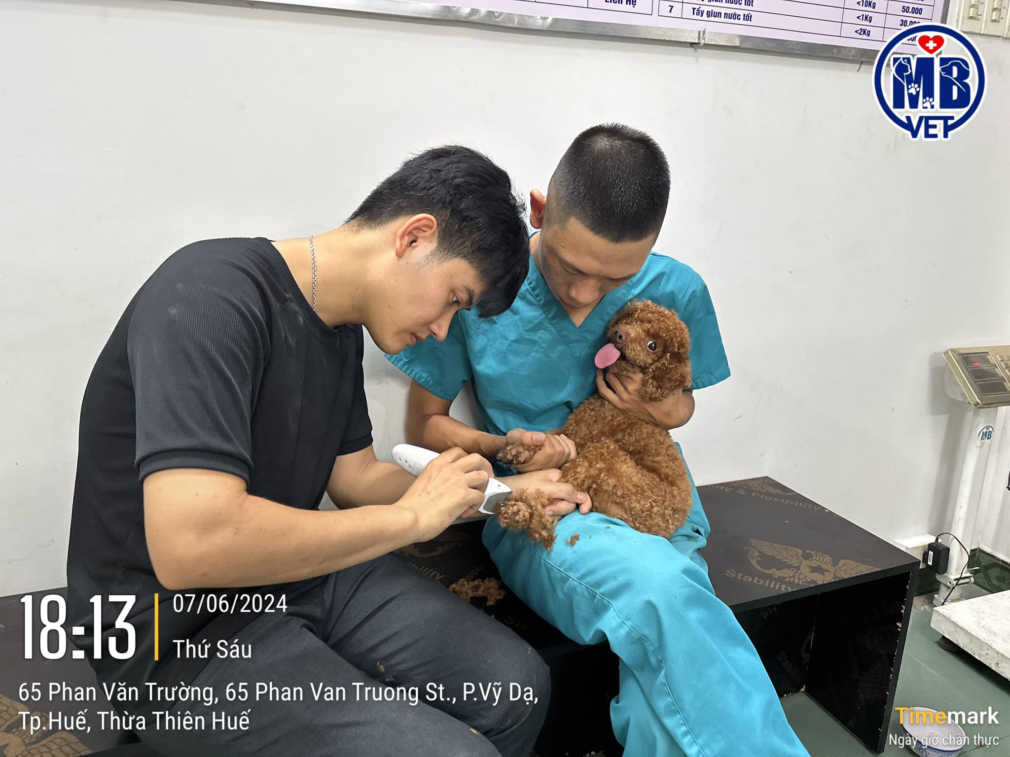 phòng khám thú y tại Huế uy tín
