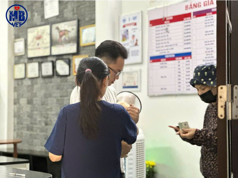 benh vien thu y tai thuy xuan