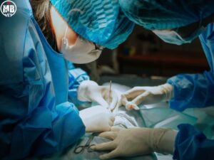 mo de cho meo tai phuong thuan hoa