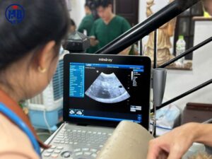 benh vien thu y tai thuy xuan