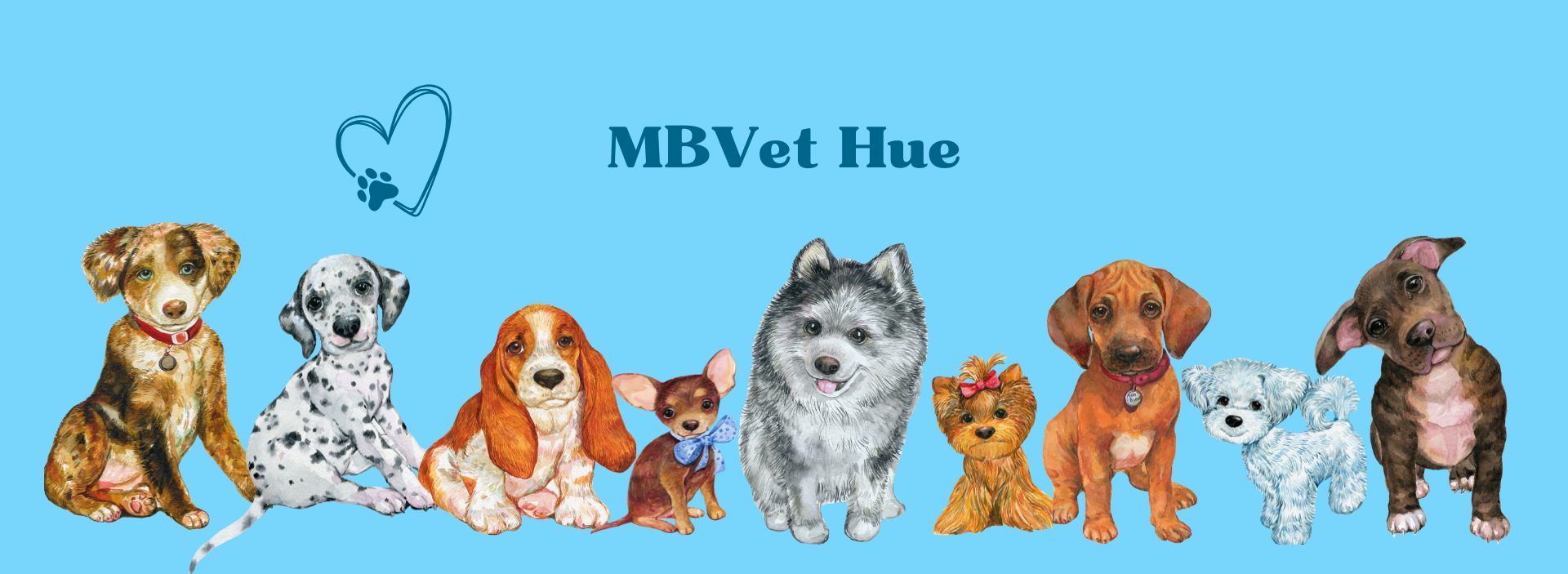 phòng khám thú y ở Huế