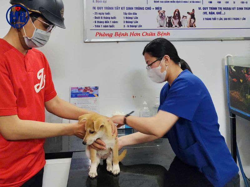 phong kham thu y uy tin tai phuong thuan hoa