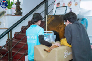 phong kham thu y tai thuan hoa