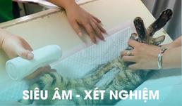 xet nghiem