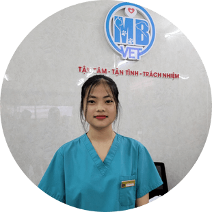 Phuong Lan